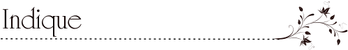 <%=pagina.descricaoSimplesInterface %>